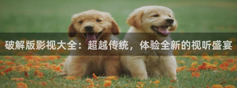 汤姆国产影院