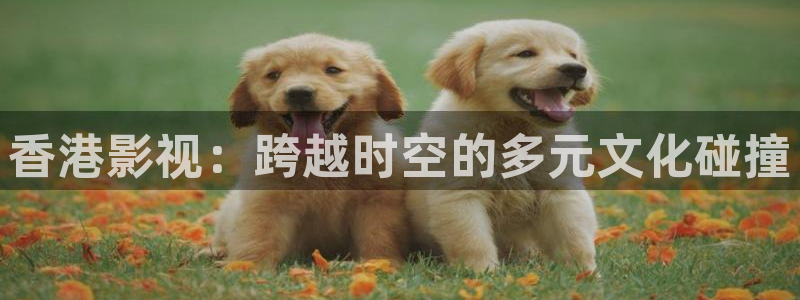 汤姆先生的电影院
