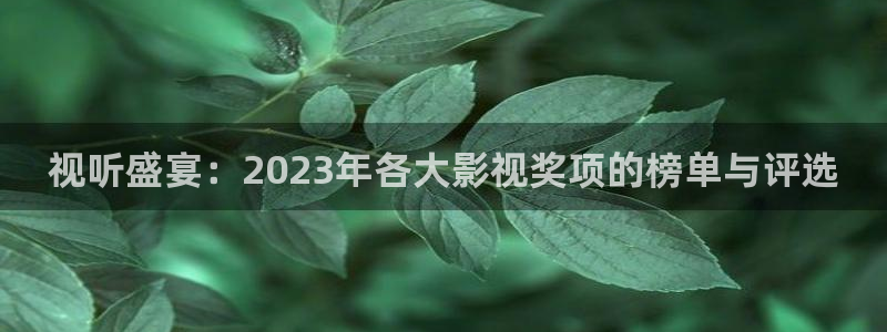 汤姆影视官网：视听盛宴：2023年各大影视奖项的榜单与评选