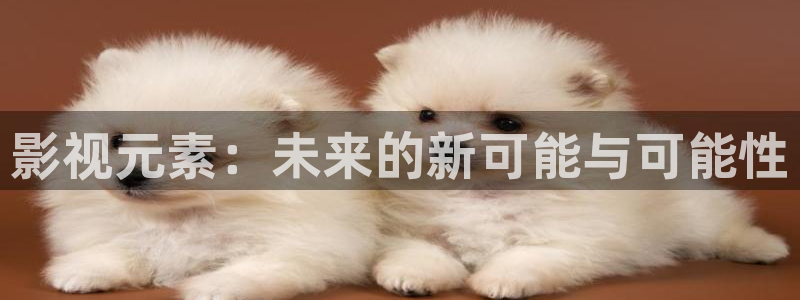 汤姆影视在线观看